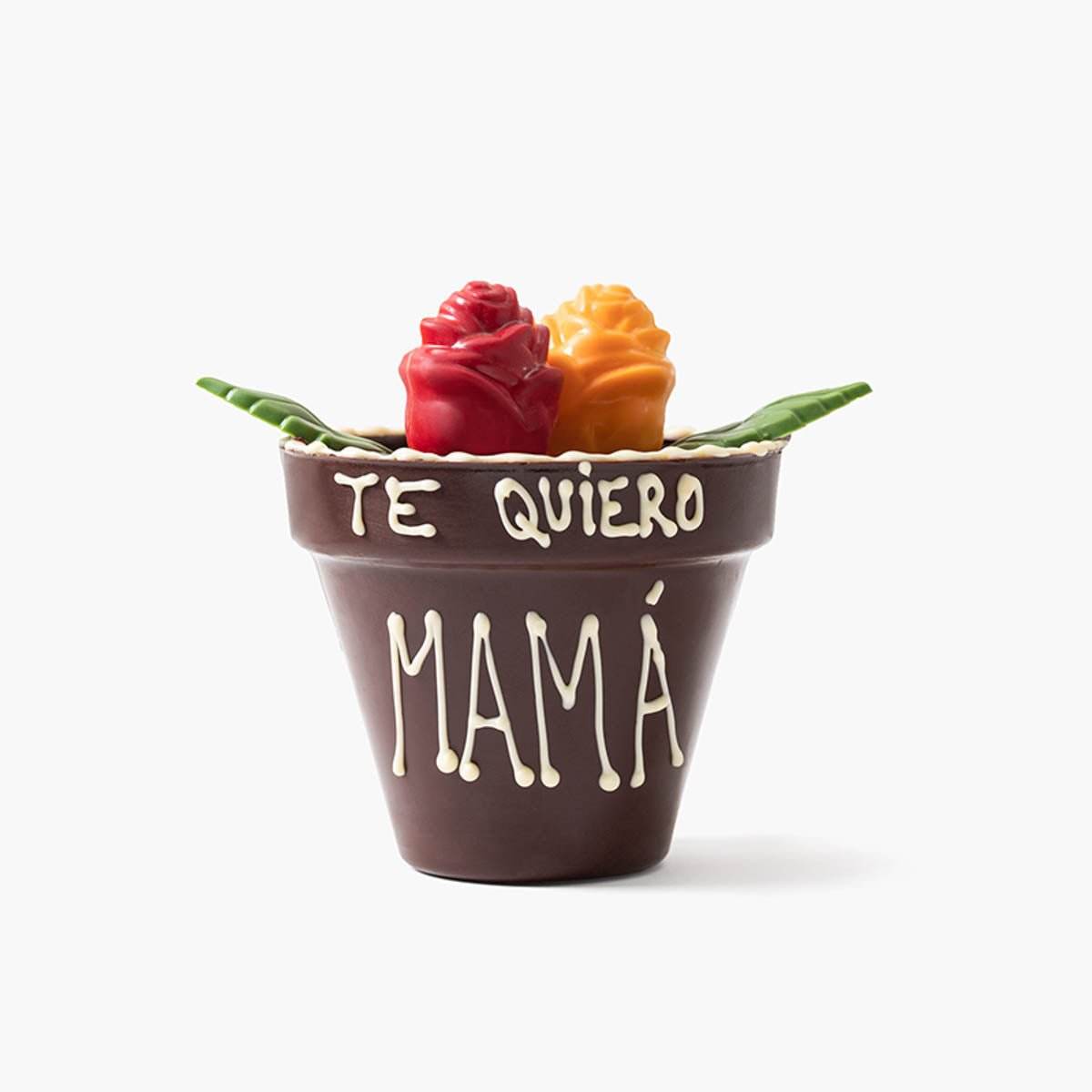 Maceta de chocolate - Día de la Madre - Bombonería Pons