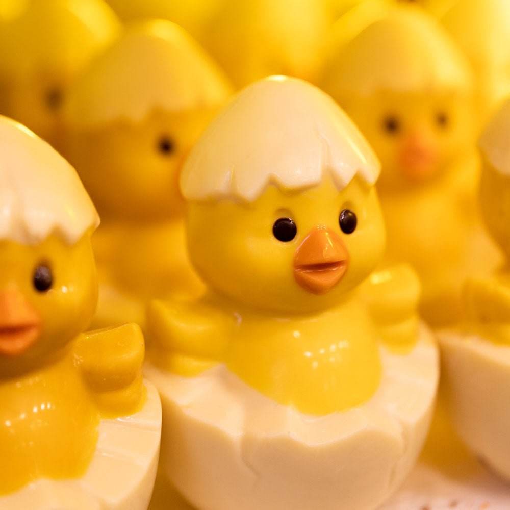 Figura de chocolate Pollito con cascarón de Pascua - Bombonería Pons