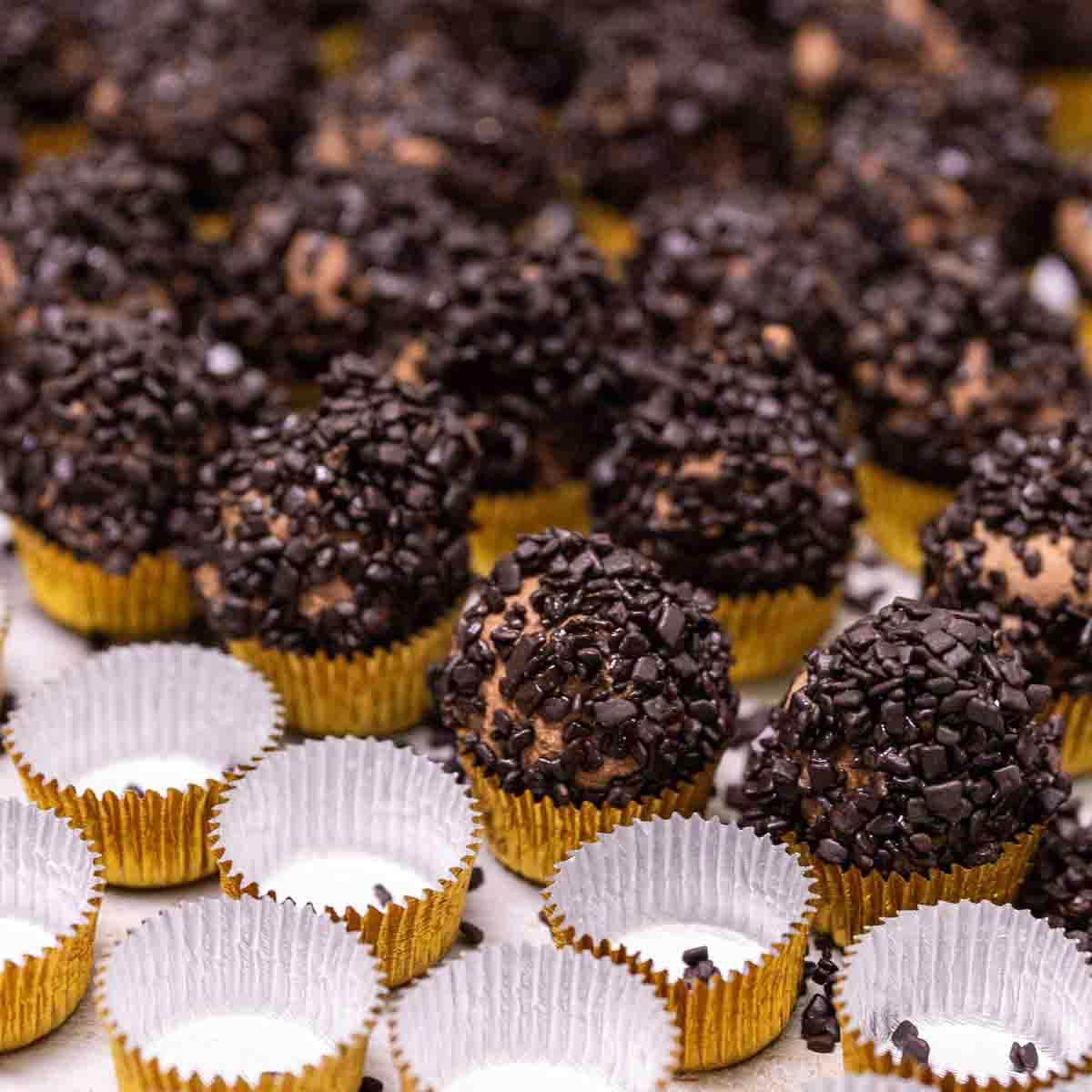 Trufas Heladas - Caja 450g - Bombonería Pons