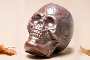 Calavera de chocolate con hojas al rededor | Bombonería Pons