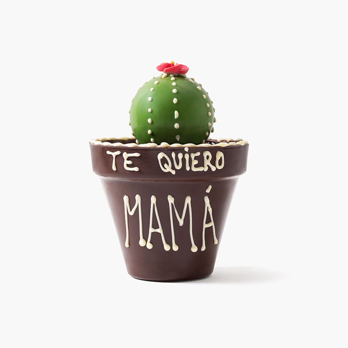 Maceta de chocolate cactus dia de la madre
